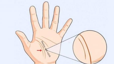 Giải mã 3 đường chỉ tay liên quan đến vận mệnh mỗi người