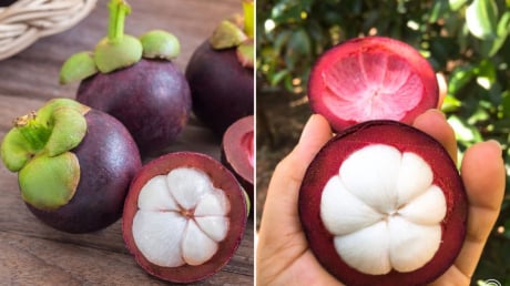 Mẹo chọn măng cụt ngon: Nhìn vào điểm này biết quả nào nhiều múi, căng mọng, vỏ mỏng