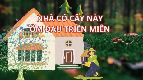 Người xưa dặn: 5 cây ác trước nhà Chặn Cửa Thần Tài, Hút Vận Xui, cây càng xanh tốt, người càng hao kiệt