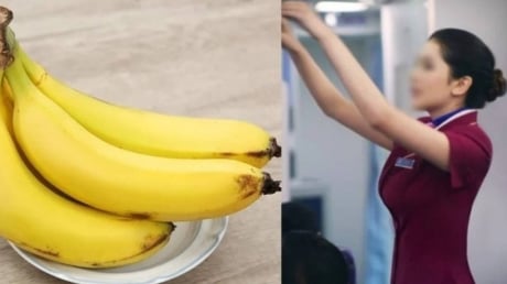 Tiếp viên hàng không luôn mang theo một quả chuối lên máy bay: Lý do khiến ai cũng bất ngờ!