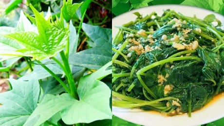 Loại rau trước thường cho lợn ăn nay thành món ăn đồng quê tốt như thần dược, bổ hơn nhân sâm tổ yến