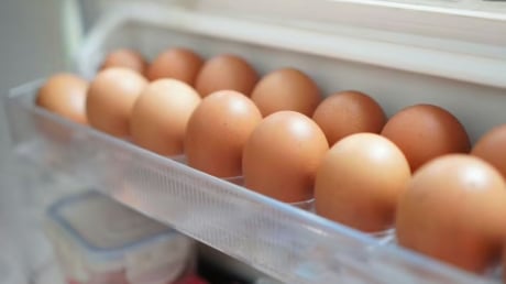 10 người thì 9 người đang bảo quản trứng sai cách: Mẹo hay bảo quản trứng tươi lâu, giữ được dinh dưỡng