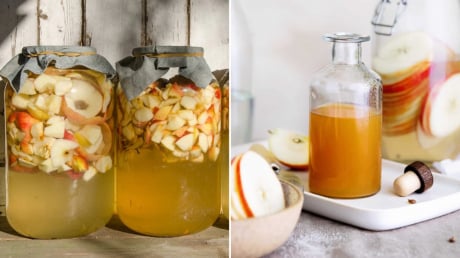 Bí quyết tự làm giấm táo tại nhà, vừa ngon rẻ, vừa an toàn