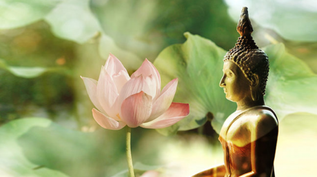 Đời này có 4 việc không thể xoay chuyển, có cưỡng cầu cũng vô ích