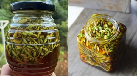 Bị bệnh gì có thể dùng hoa đu đủ đực ngâm mật ong?