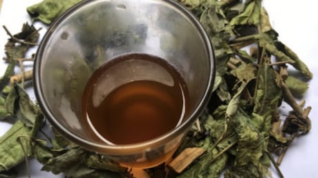 Nước xạ đen không phải thần dược, 5 người này càng uống càng sinh bệnh