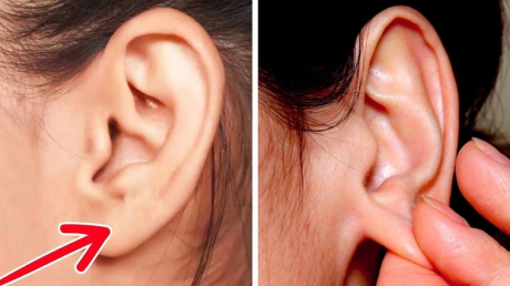 Thường xuyên Xoa Tai giúp dưỡng nhan, trị đau đầu, cường thận