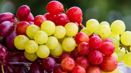 Các loại quả dễ khiến hơi thở có nồng độ cồn