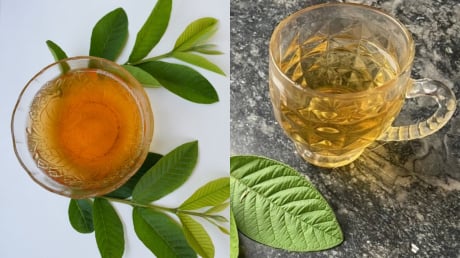 Cách uống nước lá ổi giảm mỡ bụng, giúp eo thon, giảm cân nhanh