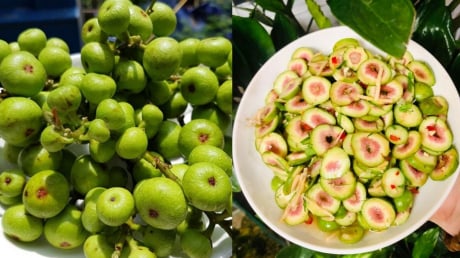 Người mắc 4 lại bệnh này ăn quả sung, cơ thể nhận được lợi ích bất ngờ