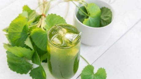 6 nhóm người nên uống nước rau má
