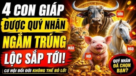 4 con giáp quý nhân ngắm trúng, đụng đâu cũng ra Tiền