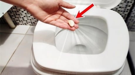 Vì sao nên bỏ một tép tỏi vào bồn cầu trước khi đi ngủ?