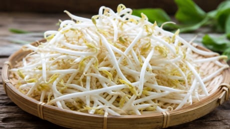 Cách phân biệt giá đỗ có nguy cơ nhiễm hoá chất