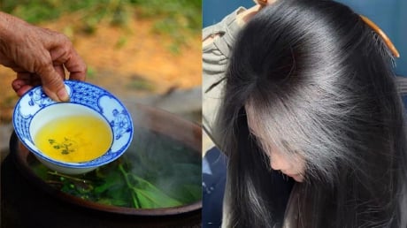 Cách gội đầu bằng nước chè xanh làm sạch gàu, giảm bết, tóc con mọc tua tủa