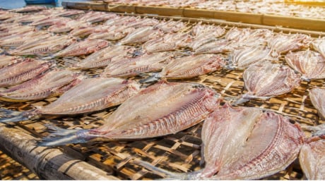 Ăn nhiều 6 loại cá này có thể tăng nguy cơ ung thư nhưng vẫn nhiều người thích ăn