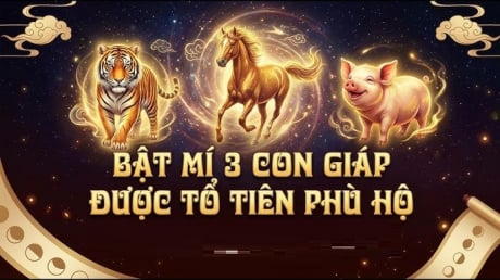 Không giàu sớm nhưng giàu bền: 3 con giáp tích lũy tiền tỷ ngập nhà