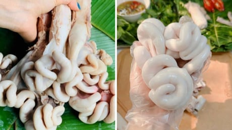 Luộc tràng lợn bao nhiêu phút thì chín? Ăn vừa giòn vừa thơm, trắng bong đẹp mắt