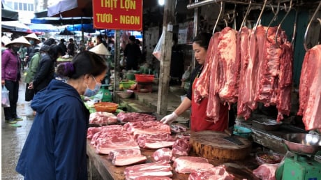 Vì sao dân gian có câu: “Sớm không mua thịt lợn, chiều muộn không mua đậu phụ”? Ai di chợ nên chú ý