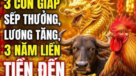 3 con giáp sếp thưởng, lương tăng, 3 năm liền Tiền đến