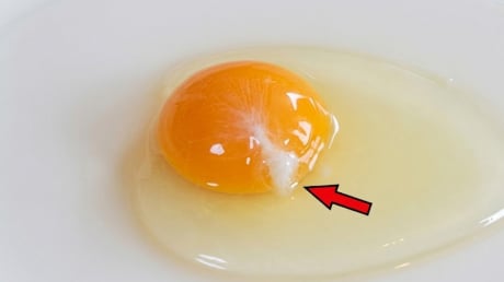 Trứng gà đập ra có sợi trắng đục: Có ăn được không?