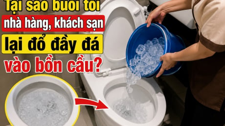 Tại sao buổi tối nhà hàng, khách sạn lại đổ đầy đá vào bồn cầu?