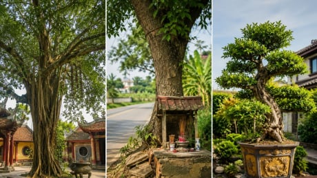 Người xưa dặn: Thấy 3 loại cây này, chớ tùy tiện chặt bỏ kẻo bị cho là “động” vào phúc lộc