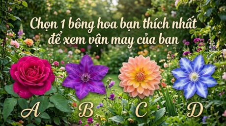 Chọn 1 bông hoa bạn thích nhất để xem vận may của bạn
