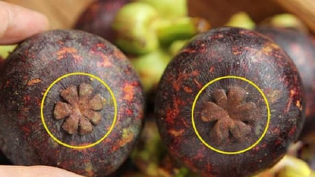 Mẹo chọn măng cụt ngọt lừ, múi to không sượng