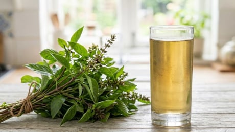 6 lợi ích của việc uống nước lá húng quế
