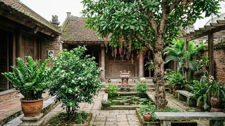 3 loại cây trồng trước cửa nhà dễ phất, 1 loại cần nhổ bỏ ngay