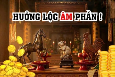 Lộc Âm Phần rất dày, 3 tuổi được gia tiên độ trì khơi thông Lộc Lá