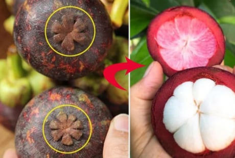 Mẹo chọn măng cụt căng mọng, 10 quả trúng 10