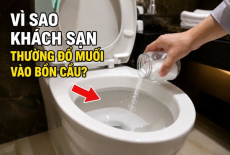 Vì sao khách sạn thường đổ muối vào bồn cầu?