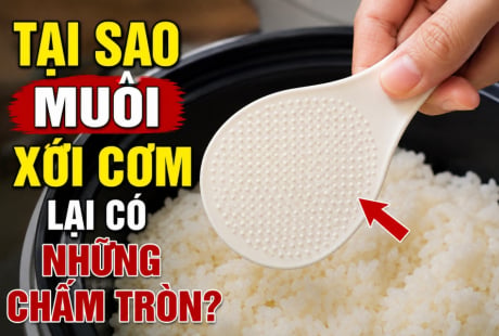 Tại sao muôi xới cơm lại có những chấm tròn?