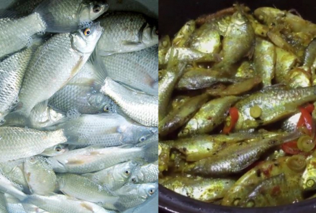 Loại cá một thời chỉ người nghèo ăn, nay bán 110.000 đồng/kg vẫn được người thành phố ‘săn lùng’