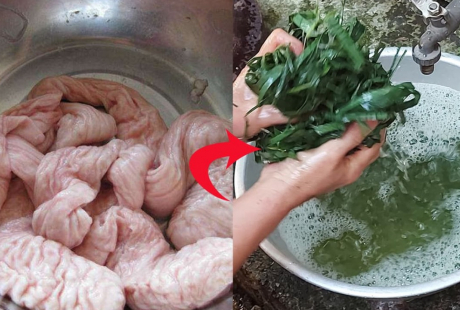 V&ograve; nắm l&aacute; 'ch&aacute;t x&iacute;t' n&agrave;y b&oacute;p lẫn với l&ograve;ng lợn, l&ograve;ng trắng tinh lại hết sạch m&ugrave;i h&ocirc;i