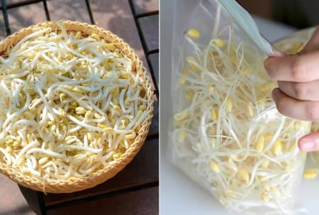 Giá đỗ mua về đừng bỏ ngay vào tủ lạnh, làm theo cách này để cả tuần vẫn tươi ngon
