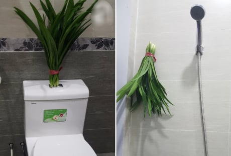 Đặt bó lá này trong nhà vệ sinh: Cả tuần không có mùi hôi, đuổi sạch đàn muỗi, dĩn