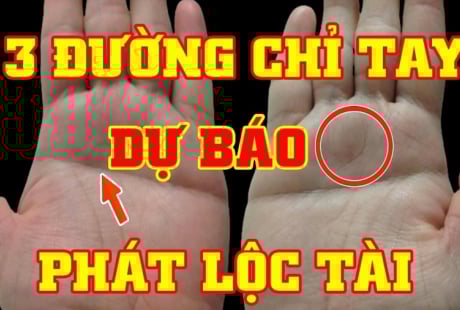 Xoè bàn tay rồi đếm đường chỉ tay: Ra đúng số này làm ăn phất mạnh, giàu to
