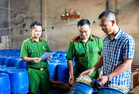 Mới Nhất: Khởi tố chủ cơ sở sản xuất 60 tấn giá đỗ ngậm hóa chất, người dân chú ý phân biệt giá đỗ