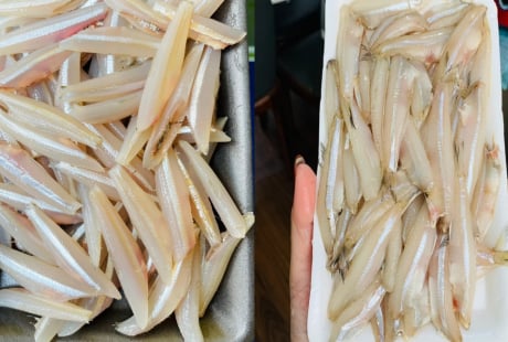 Loại cá thịt chắc ngọt, canxi cao gấp 25 lần cá hồi, giá rẻ lại được đánh bắt tự nhiên