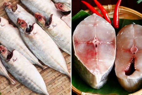 Ai không nên ăn cá? Cá bổ dưỡng đến cũng không được động đũa