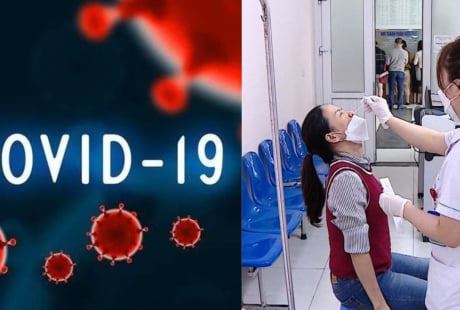 Bộ Y tế chỉ đạo Hỏa Tốc phòng chống dịch bệnh Covid-19, Sốt Xuất huyết
