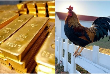 Gà gáy sang canh ngày 1/6: 3 tuổi Âm Phù Dương Trợ, Vận Khí Tăng Cao, Tiền về như nước