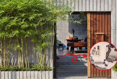 3 thứ không đặt trước cửa, không trồng 3 cây ngoài sân: Là cây gì, thứ gì?