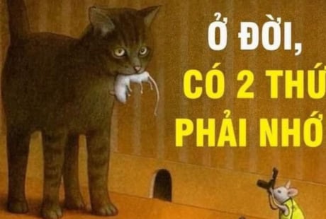 Cuộc đời chỉ có 2 thứ thật sự thuộc về bạn: Có người đến cuối đời mới nhận ra đã quá muộn