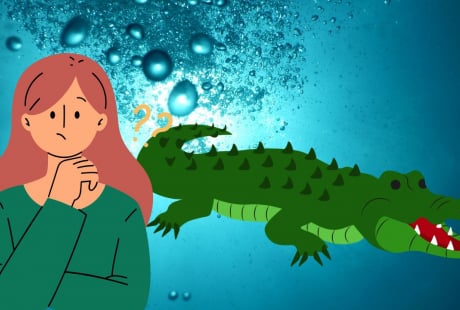Làm mãi cố gắng mãi vẫn không giàu, hãy áp dụng Định Luật Cá Sấu, đời sang trang vàng son sẽ tới