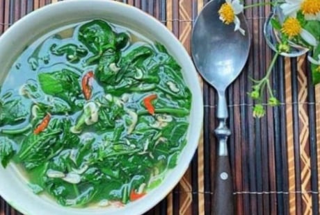 3 loại rau mọc hoang như cỏ dại ở Việt Nam nhưng là thuốc quý ít ai ngờ tới
