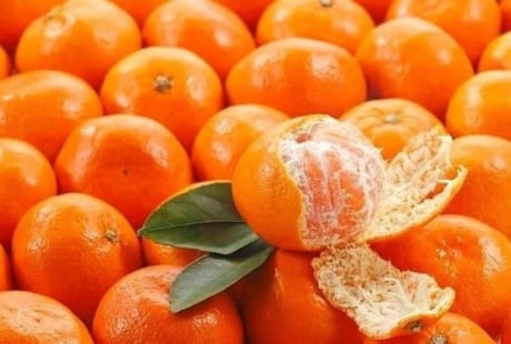 4 loại trái cây được chuyên gia khuyên dùng để hỗ trợ làm sạch phổi, chữa ho và cải thiện hô hấp